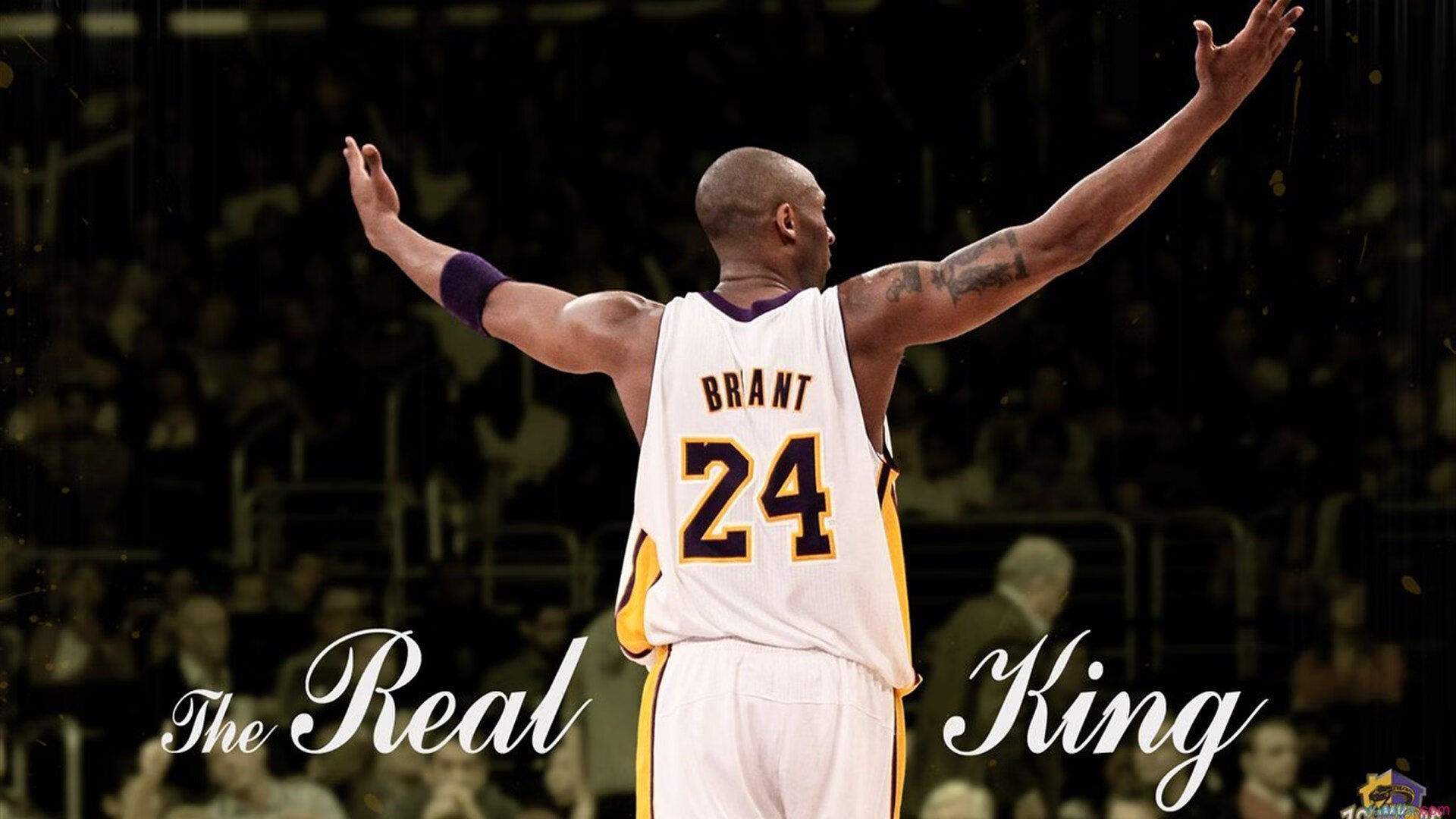 爱游戏体育账号注册-“球员异彩纷呈：场内外的趣味生活”，球场趣事