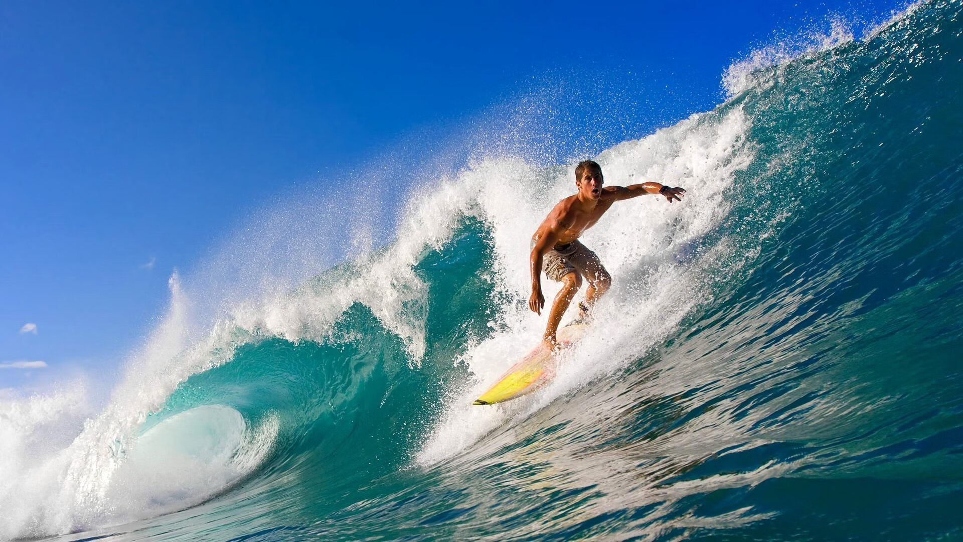 AYX官网-特色夜光龙舟赛，灯火辉煌中的水上盛典，2021龙舟比赛视频